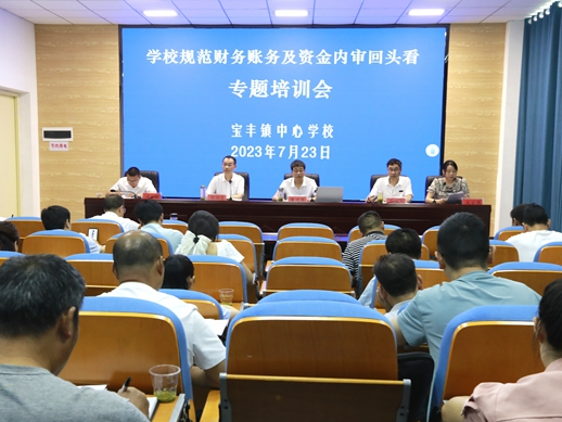 宝丰镇开展学校规范财务账务专题培训
