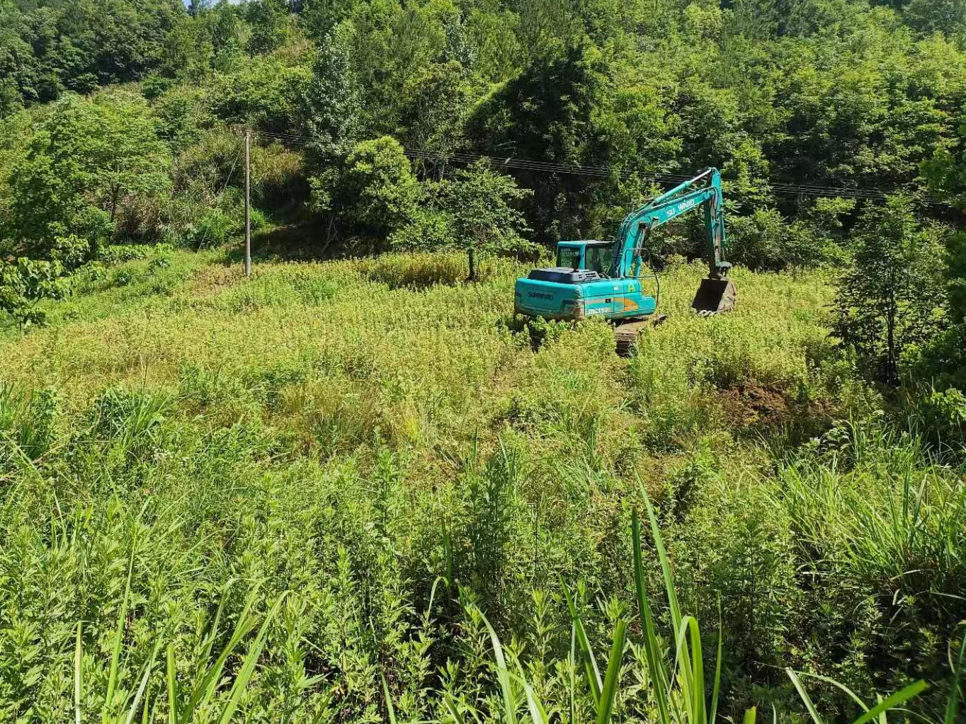 麻家渡镇：严守耕地“红线” 筑牢乡村振兴“耕基”