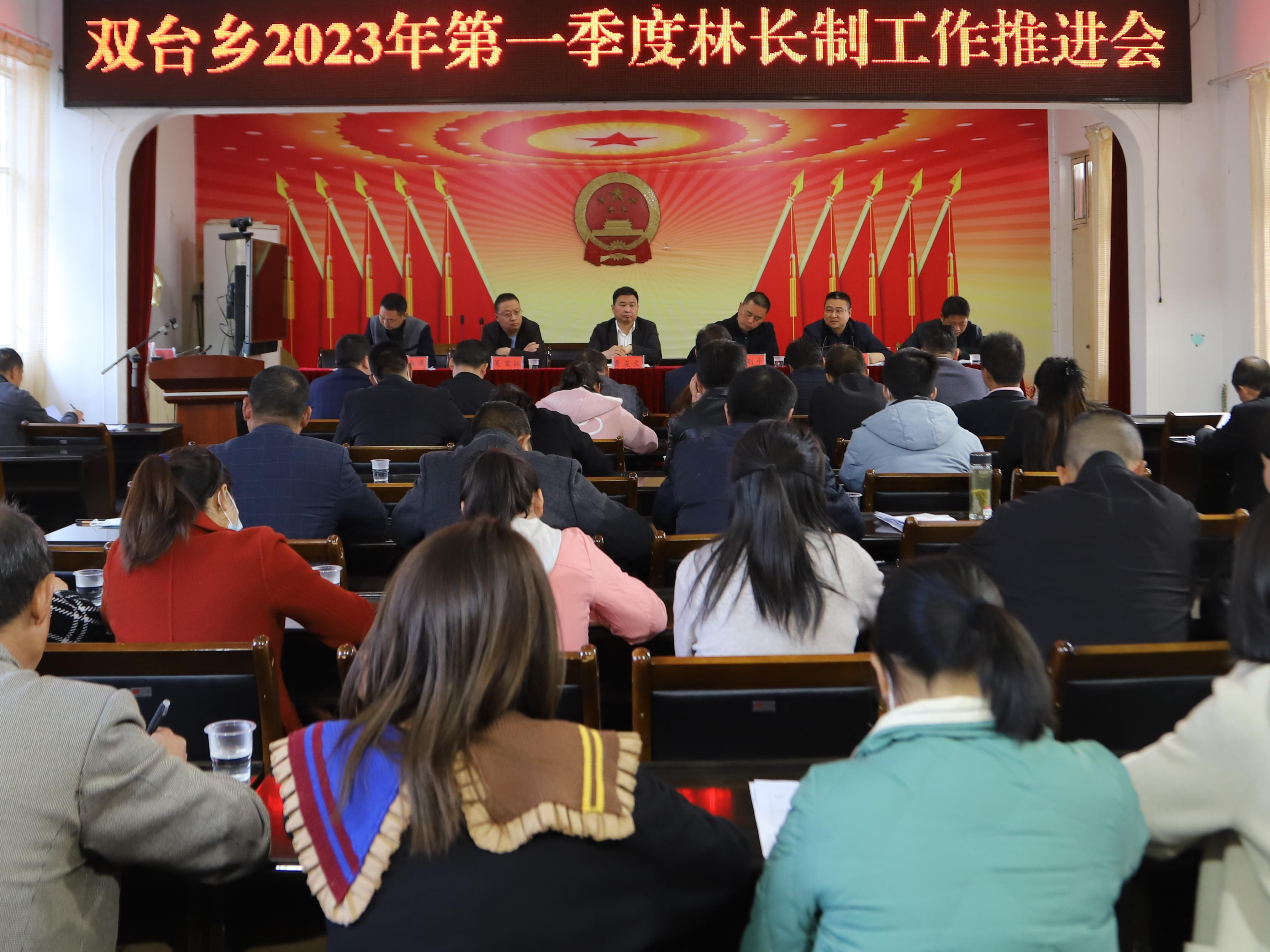 双台乡：党建引领“河长”“林长”双发力 守护绿水青山