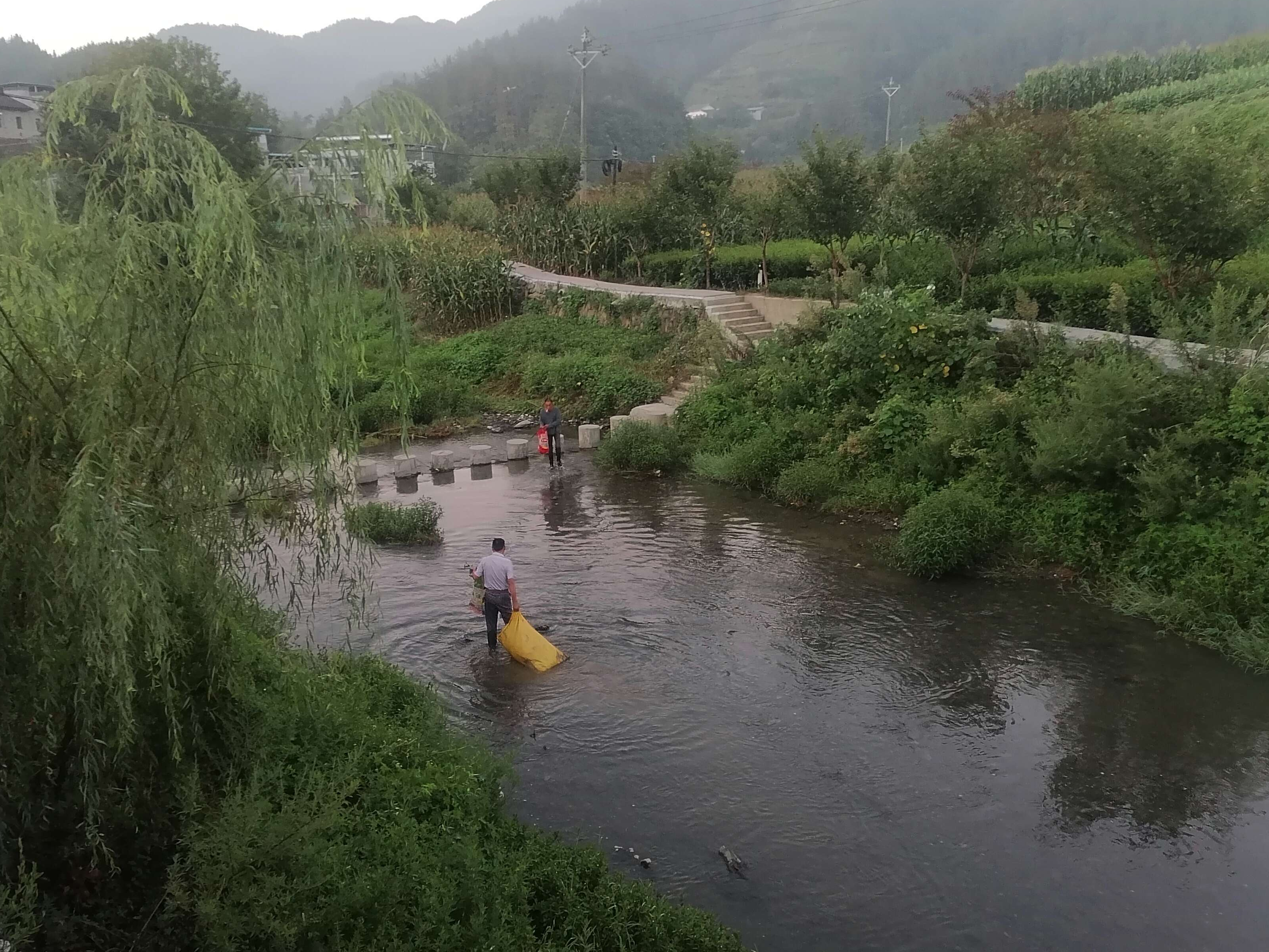 竹坪乡：落实河长制 让绿水长流