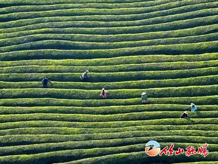 我县两家食用菌企业通过有机产品认证现场检查