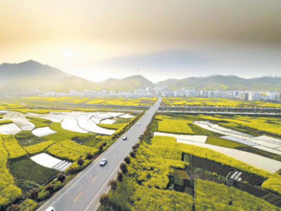 县融媒体中心：入户走访知民情 乡村振兴进行时