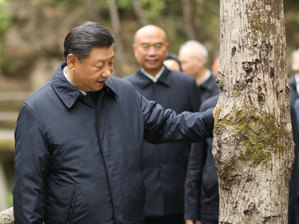 镜观·领航丨习近平：统筹山水林田湖草沙系统治理
