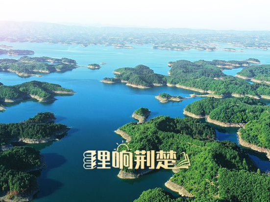 【理响荆楚】金句 | 为生态文明建设筑牢制度保障 习近平总书记这样推动