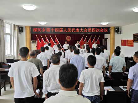 深河乡召开第十四届人民代表大会第四次会议