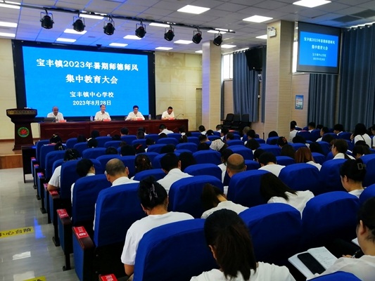 宝丰镇推进新时代师德师风建设走深走实