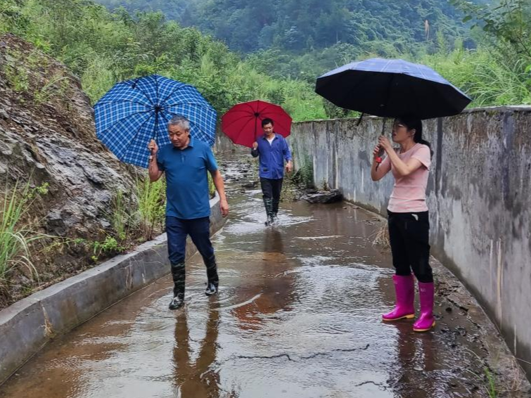 双台乡：闻“汛”而动 筑牢“安全”墙