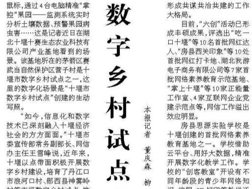 数字乡村试点成效显著