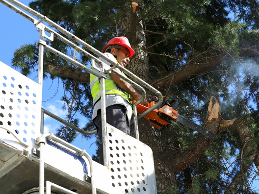 宝丰镇各学校：排隐患 保开学