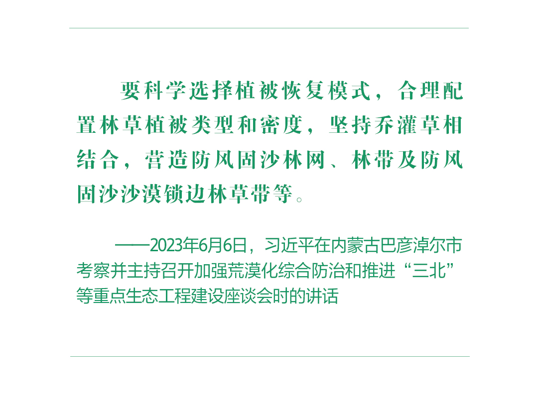 绿水青山映初心 总书记心系“绿色中国”