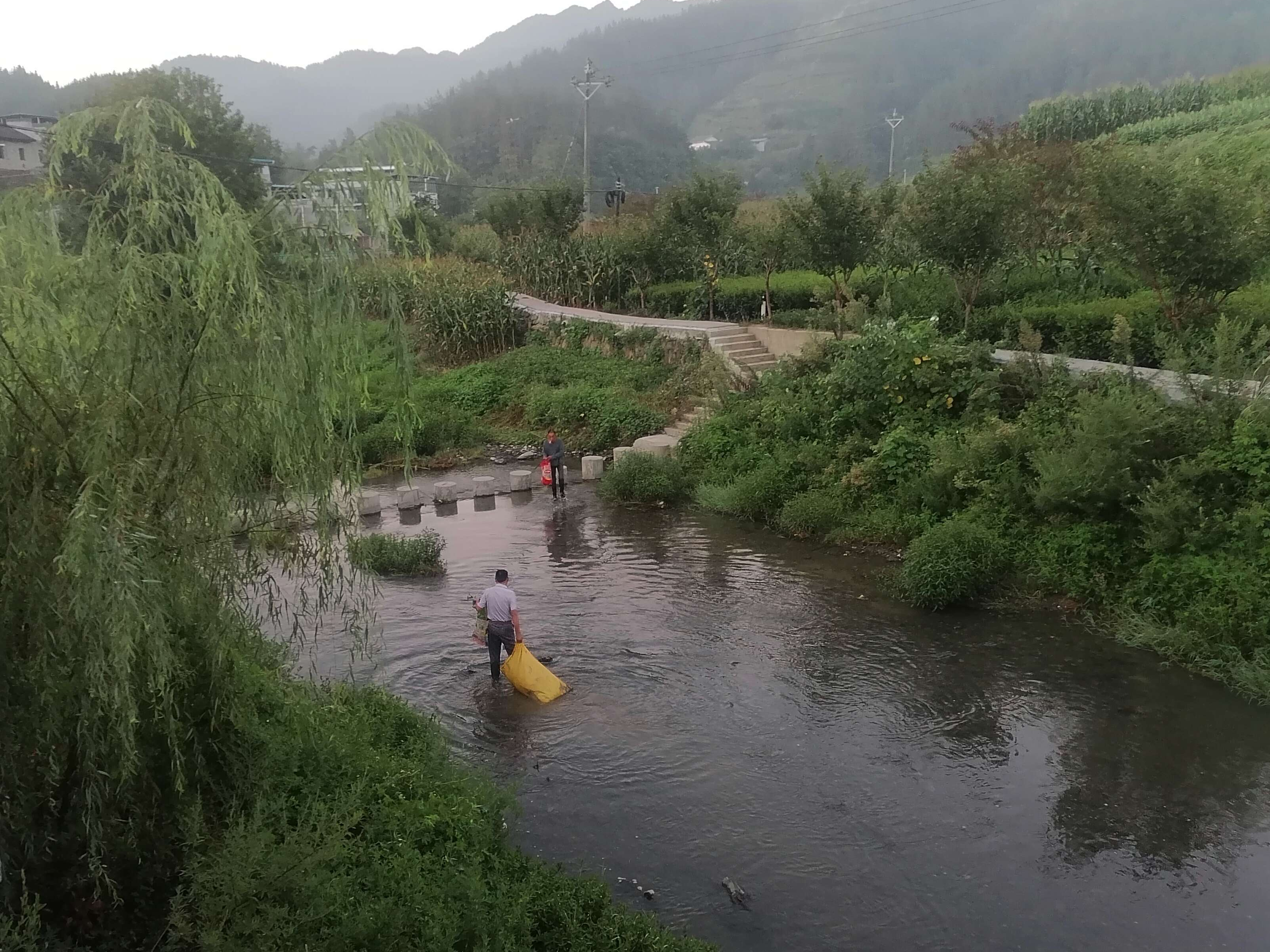 竹坪乡：落实河长制让绿水长流