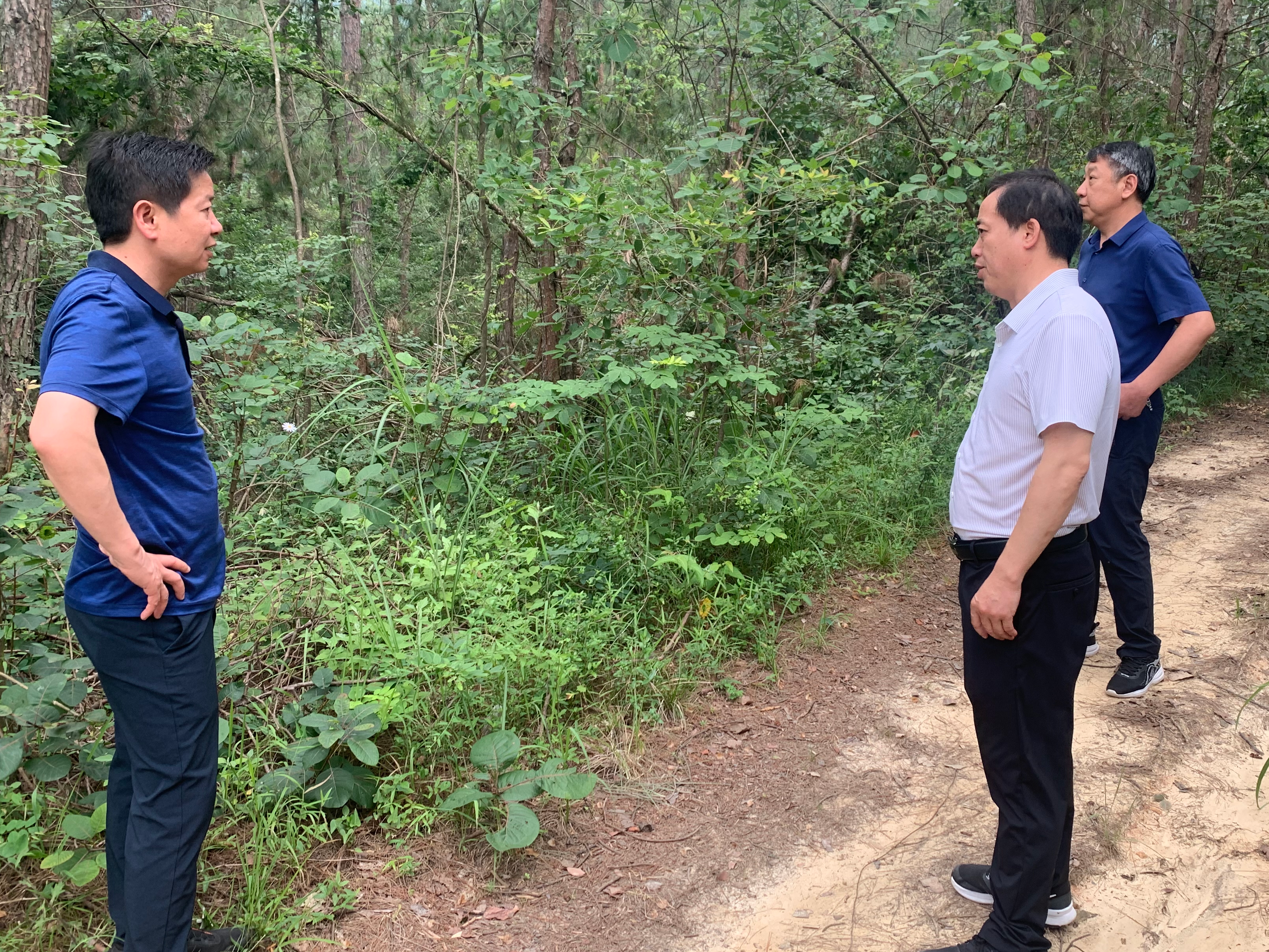 县民政局开展禁种铲毒专项行动