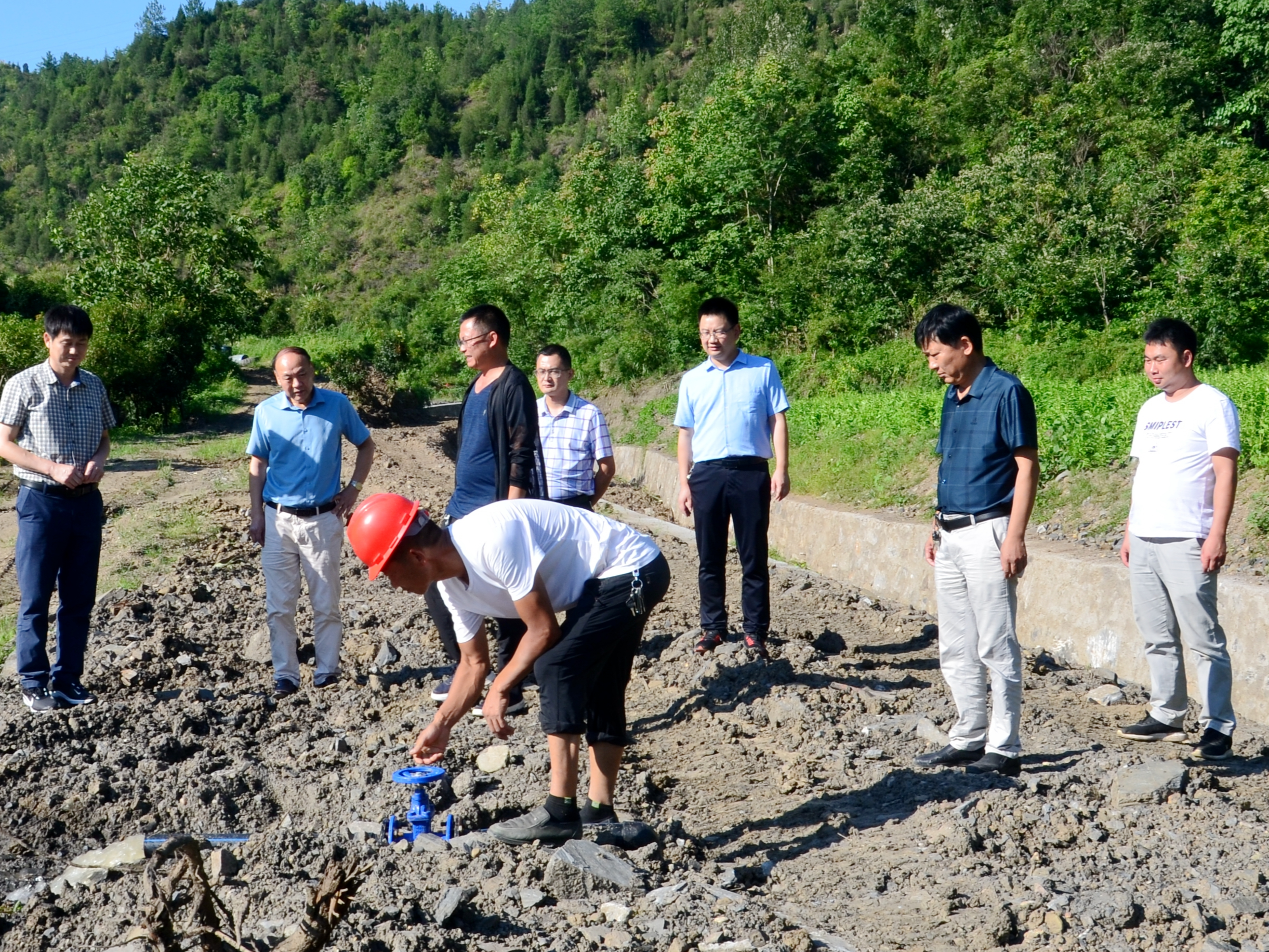 省农业农村厅对我县高标准农田建设工作百日行动进行督导核查