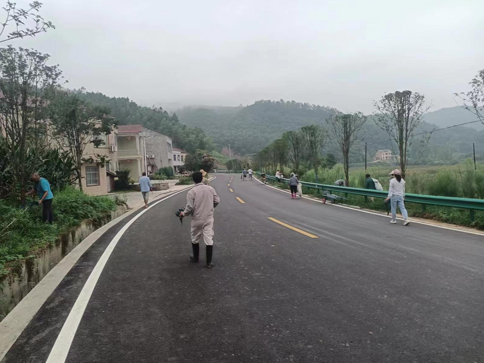 深河乡：加强病虫害防治 为绿化带建设保驾护航