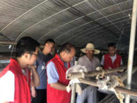 县蔬菜产业发展中心：技术下乡助力食用菌跑出“加速度”