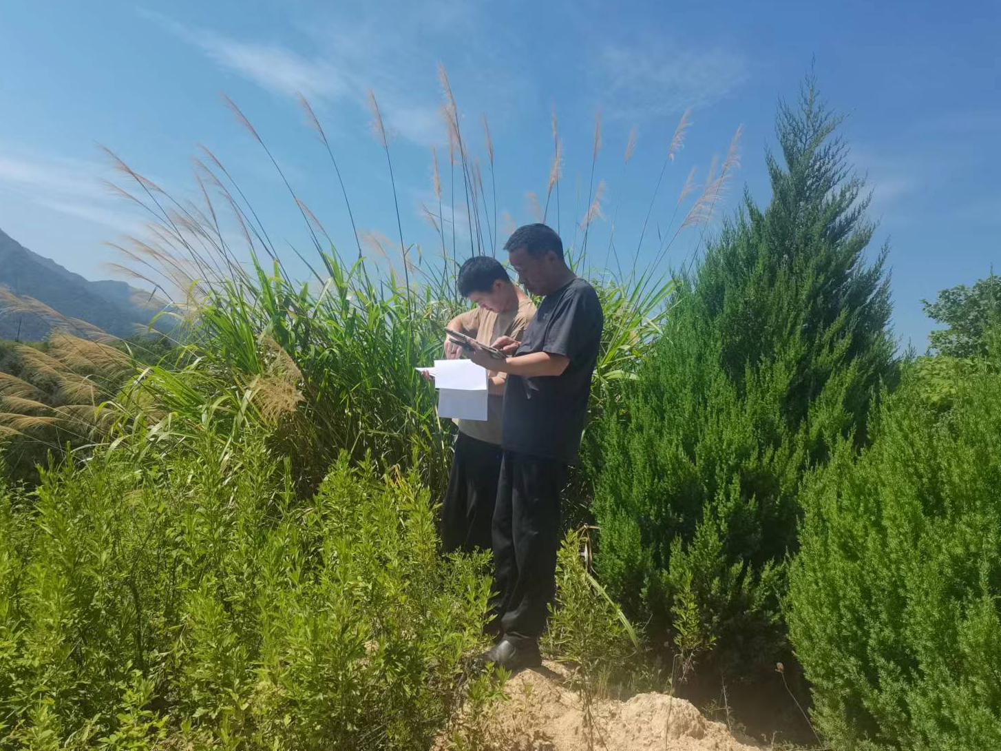 楼台乡：开展天然林精准落界 守护绿水青山