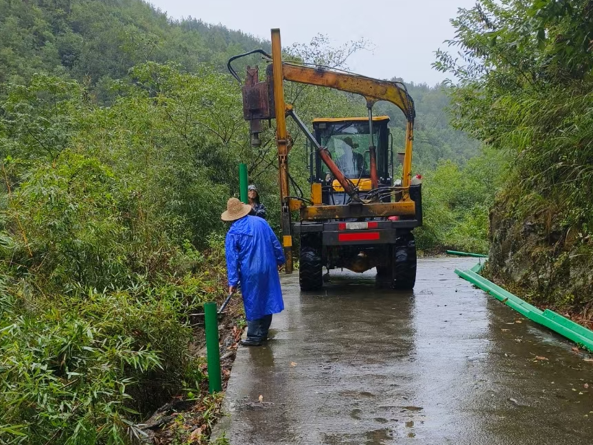 大庙乡：筑绿色“长龙” 护出行安全