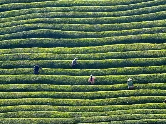 太平洋保险竹山支公司：凝心聚力谋发展 驻村帮扶显担当