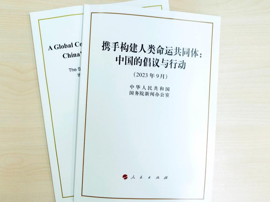 国际观察丨海外专家热议人类命运共同体理念的世界意义