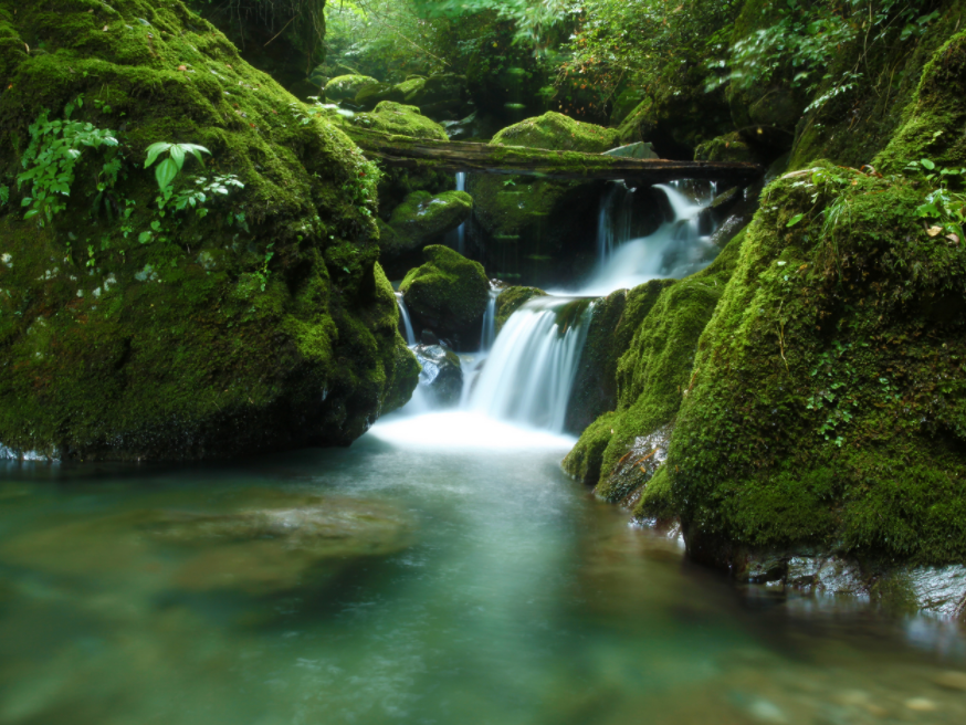 柳林乡：扎实推进垃圾分类治理 建设宜居宜业和美乡村