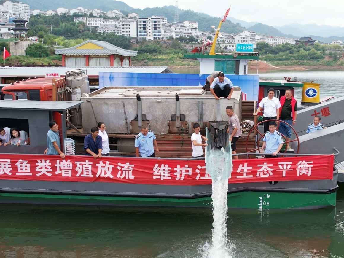 我縣增殖放流10萬尾魚苗到圣水湖庫區(qū)