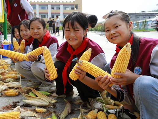 黄栗九年一贯制学校：劳动基地好“丰”景