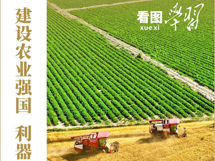 看图学习丨加快实现农业科技自立自强