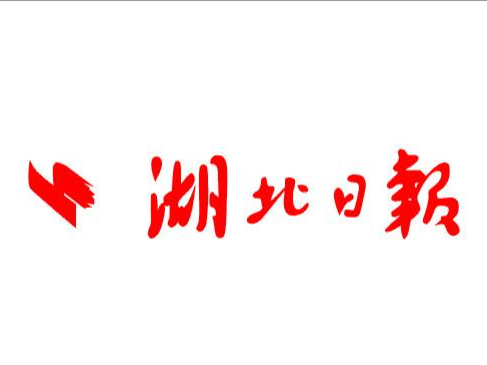 湖北省代表团在上海学习考察 王忠林与龚正座谈 诸葛宇杰参加座谈