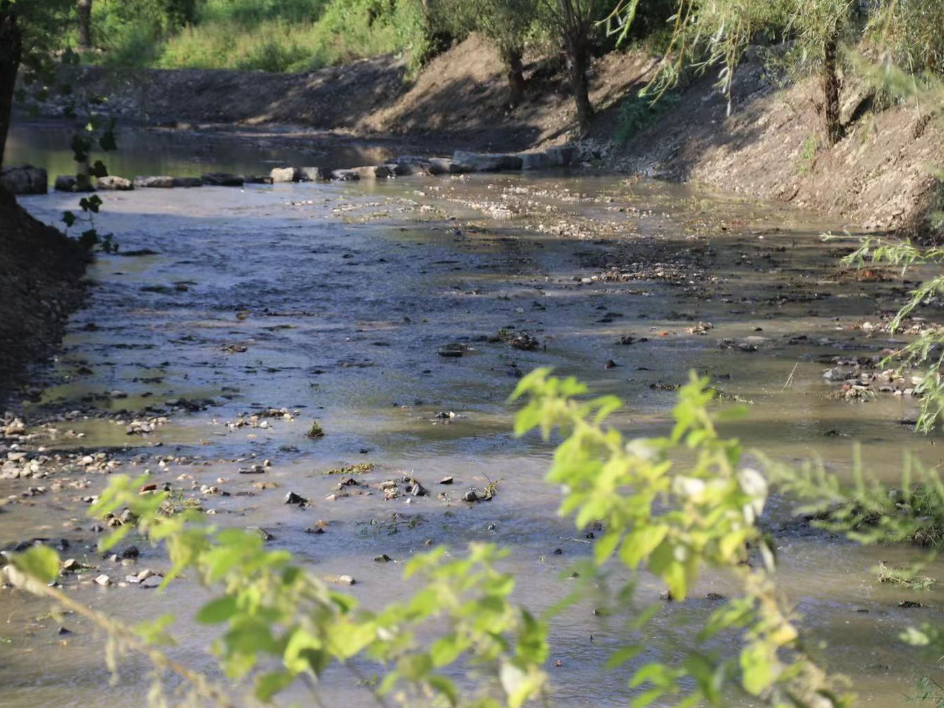 麻家渡镇：以“三落实”推进河湖长制