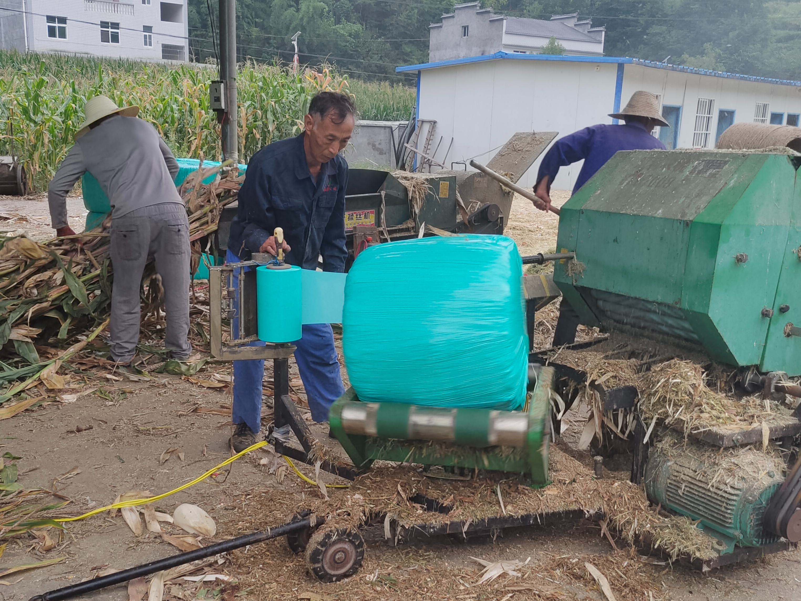 大庙乡：废弃秸秆“赋新能”  经济环保“双丰收”