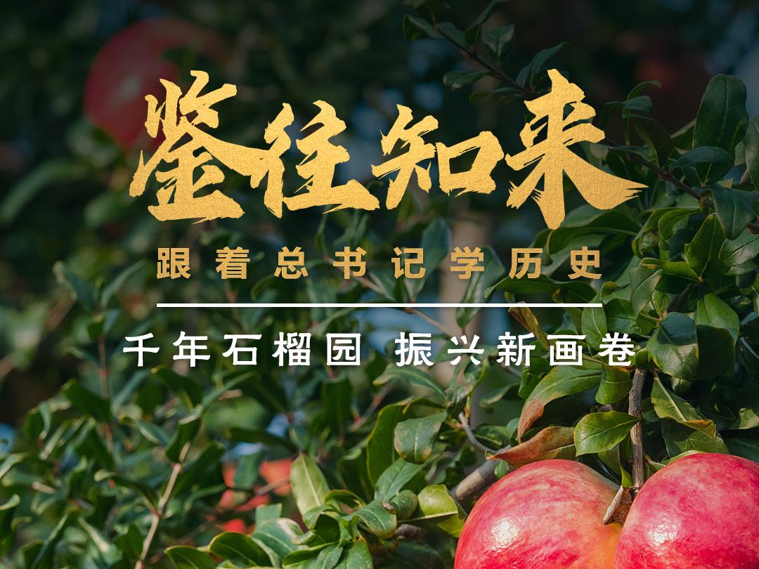 鉴往知来，跟着总书记学历史丨千年石榴园 振兴新画卷