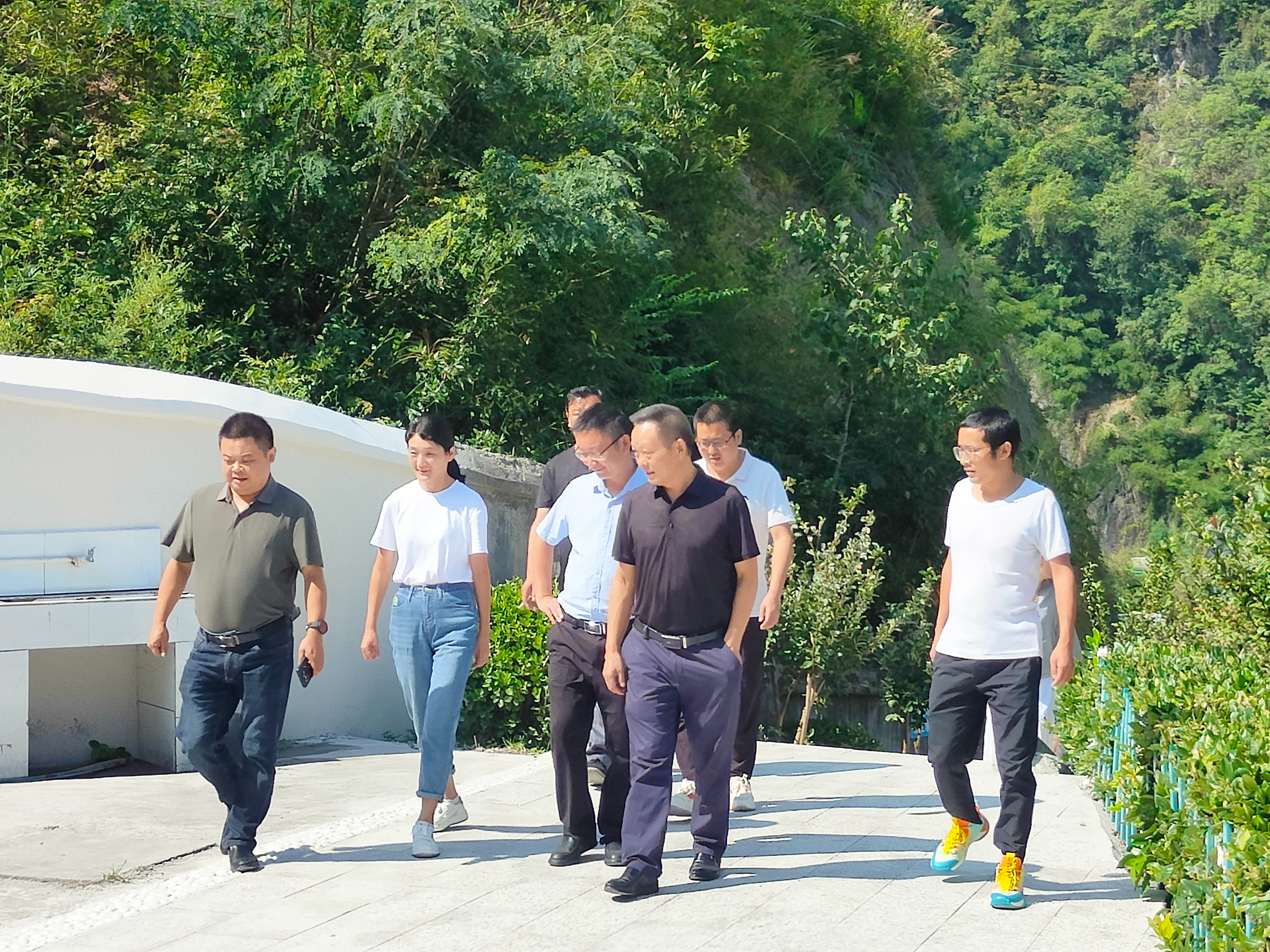 大庙乡：多方联动保平安