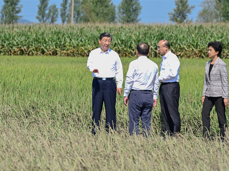 关注农业高质量发展 习近平黑龙江之行心系“大国粮仓”