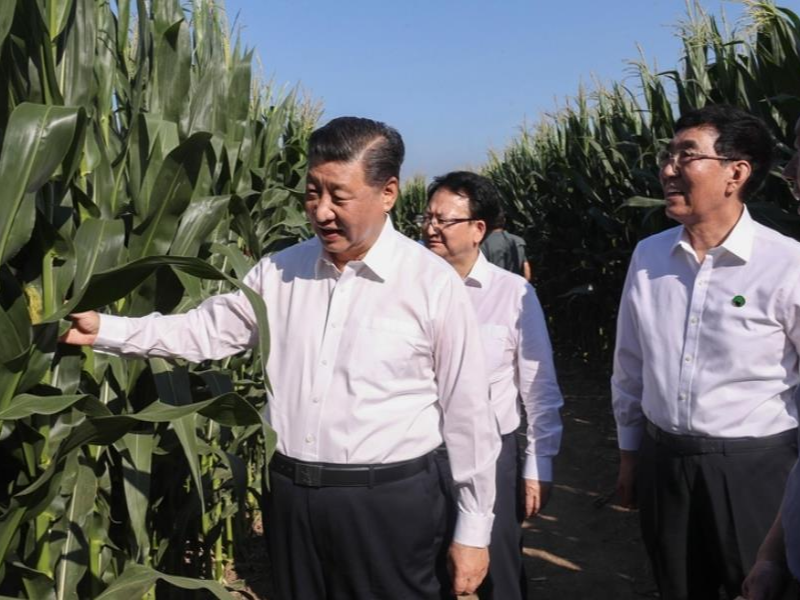 辛勤的耕耘 丰收的喜悦——习近平总书记的节日祝贺和诚挚问候传向广袤田野、凝聚奋进力量