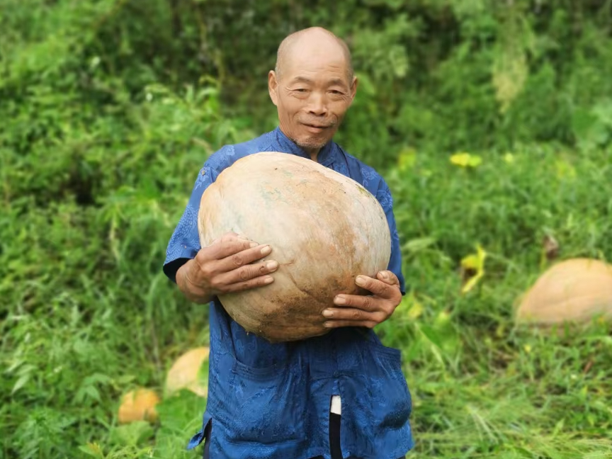 麻家渡镇：老有所乐 福利院菜地喜获丰收