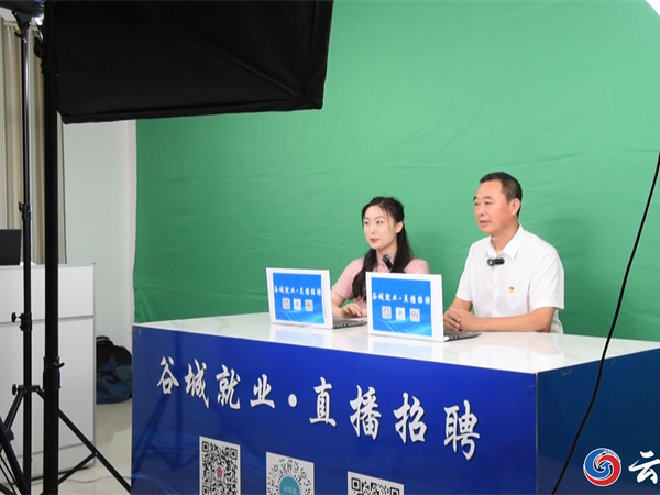 襄阳谷城：直播带岗 让高校毕业生就业触“屏”可及