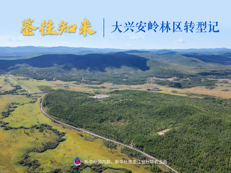 鉴往知来丨大兴安岭林区转型记
