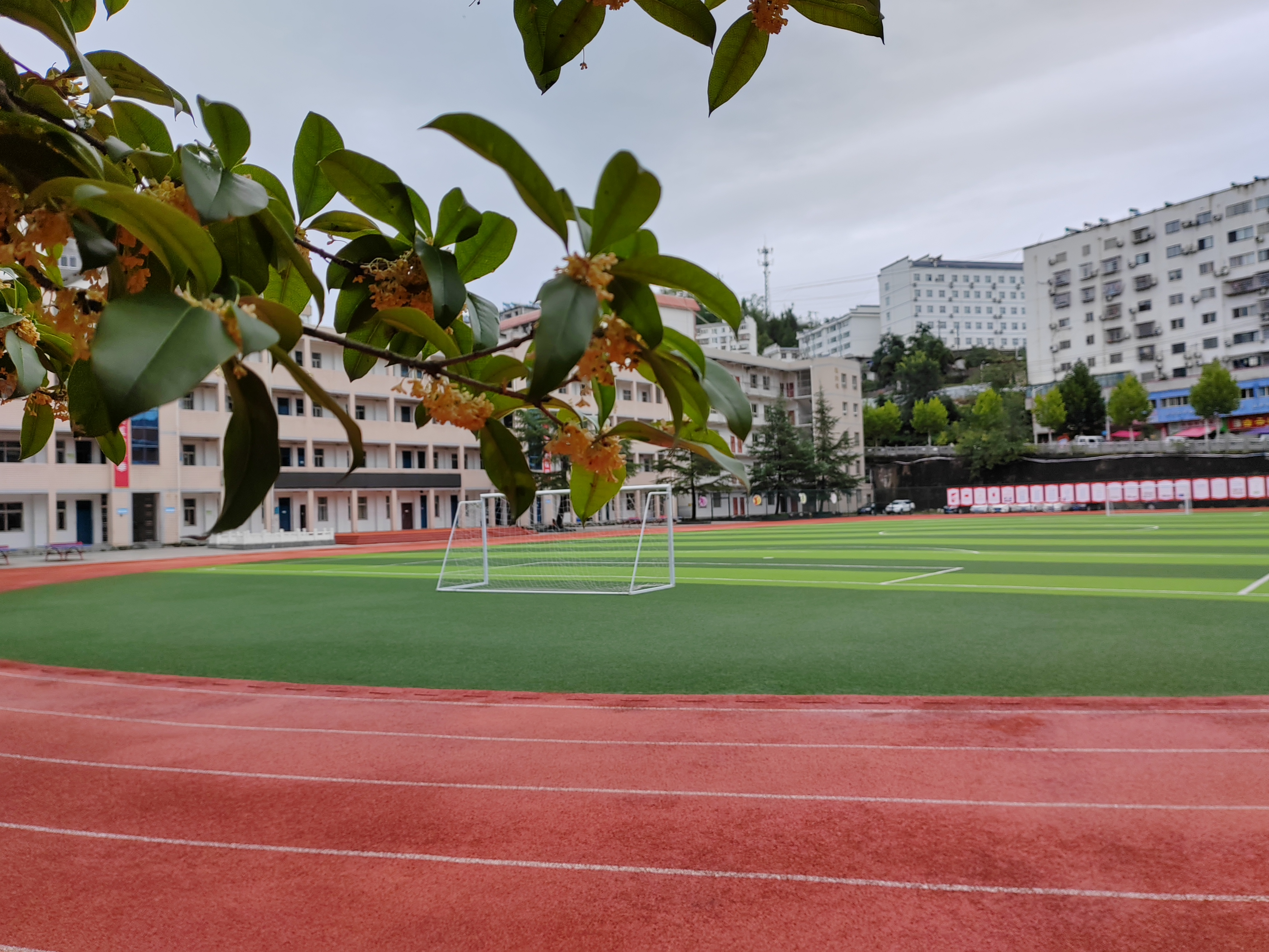 县第二实验小学强化学科建设见成效