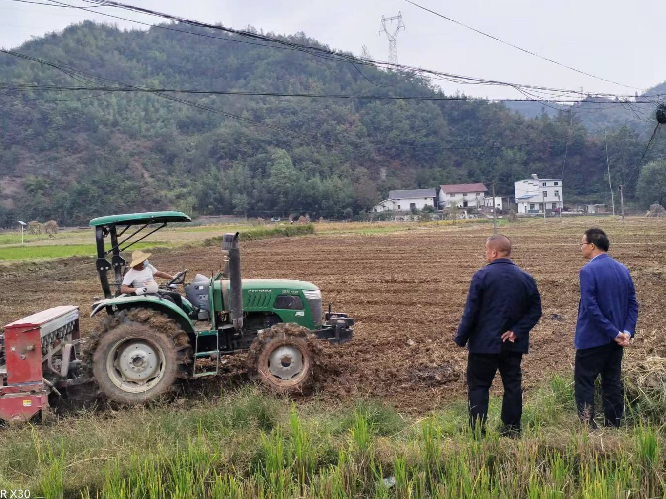 得胜镇：油菜直播忙  金秋育希望