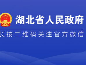 湖北汽车和机械产业保持“稳中向好” 今年汽车产业营收力争突破8000亿元