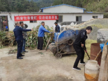 科普牧草青贮 　促进健康养畜