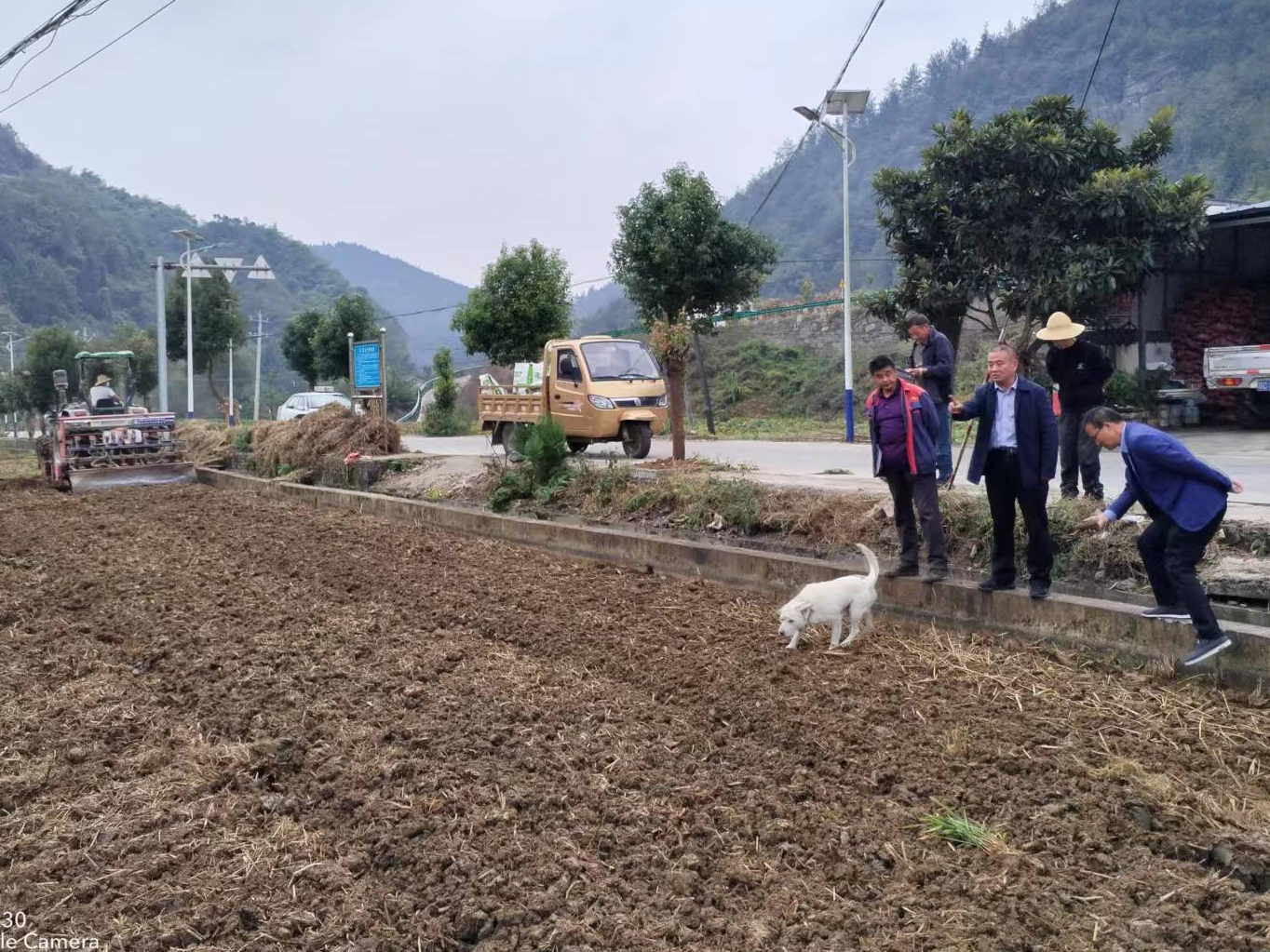 得胜镇：秋播秋种正当时  田间地头话“丰”景