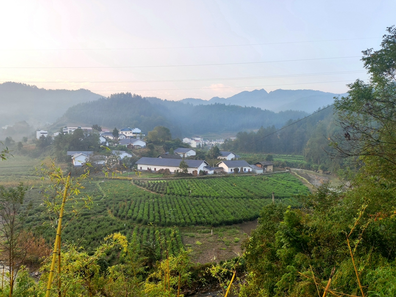 雾笼山村美如画