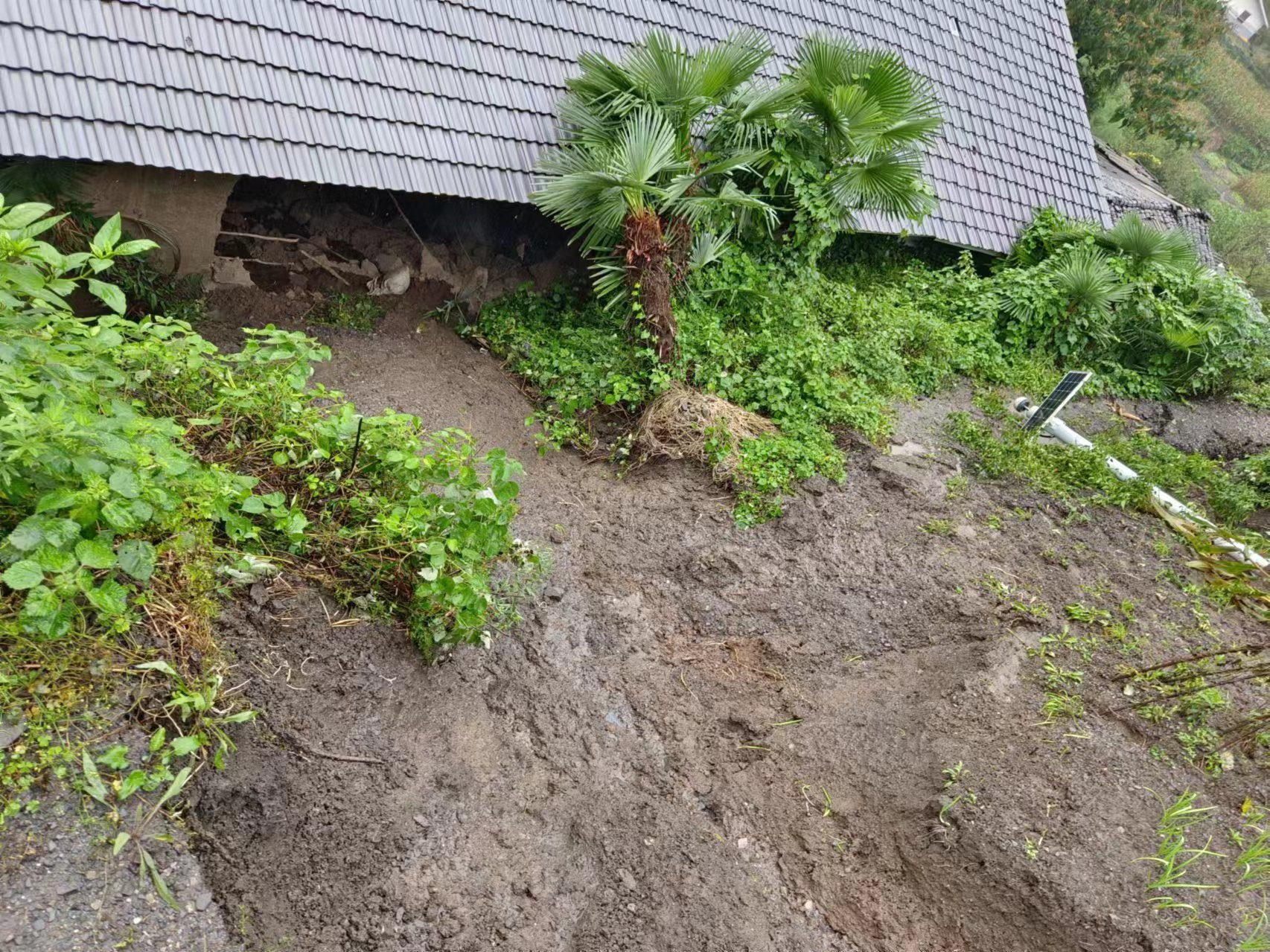 竹坪乡沈家营村安全转移4名受灾群众