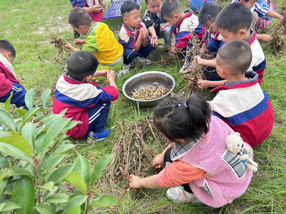 秦古镇第二幼儿园开展劳动体验活动