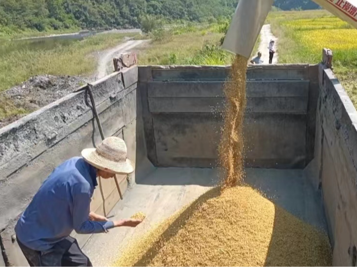 擂鼓鎮給糧食用上“吹風機”