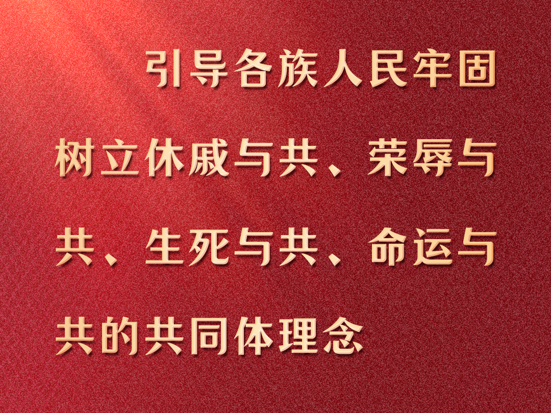一图学习丨铸牢中华民族共同体意识，总书记这样强调