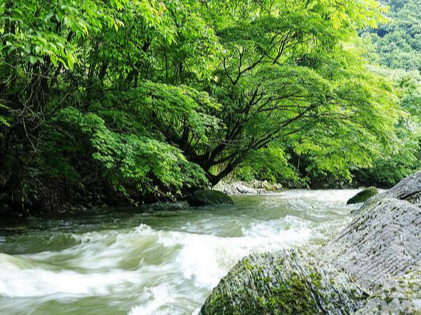 柳林乡召开护林员培训会