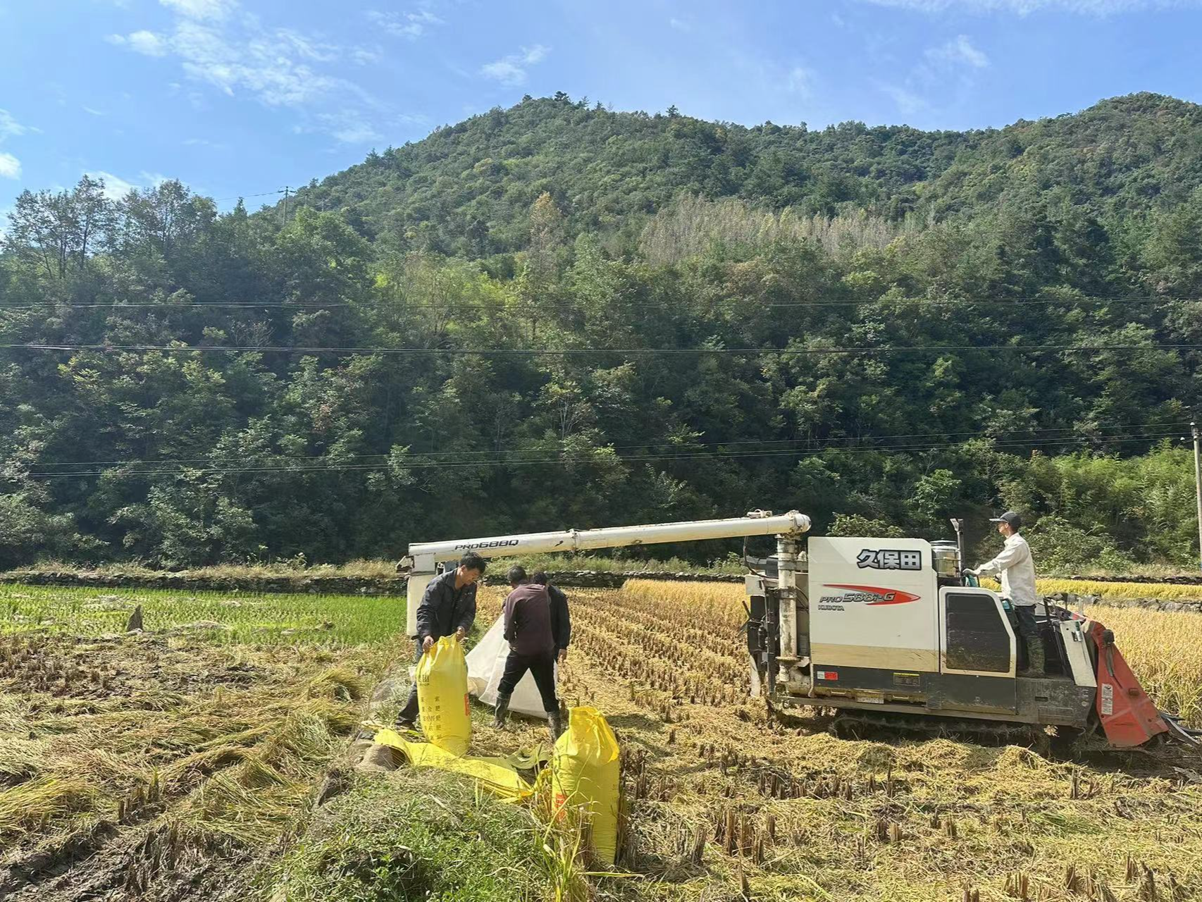 雙臺鄉水坪村：農忙喜豐收