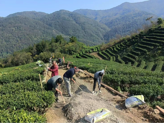 上庸镇：修建茶山致富路 优化茶业管护底盘